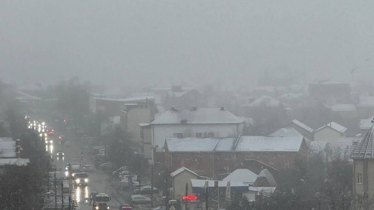    фото: телеканал «Краснодар»