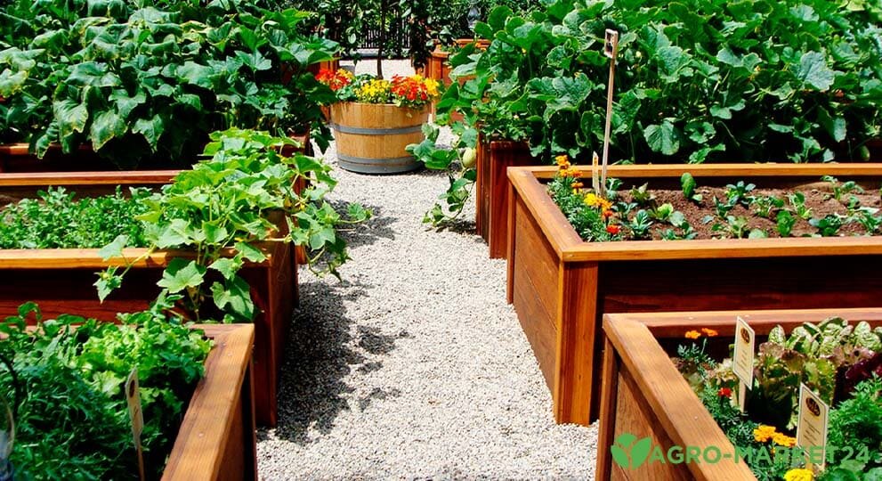 Грядки по Митлайдеру. Фото:https://agro-market24.ru/blog/ogorod/gryadki-po-mitlayderu/?srsltid=AfmBOoq2KV1FzKEsBmUXfaykqj8Qg3K90QhDzcb8LF5xX7Uzh9Tgy2wL