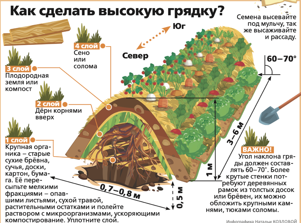 Как сделать высокую грядку по Зеппу Хольцеру. Фото: https://aif.ru/dacha/ogorod/metod_zeppa_holcera_kak_organizovat_gryadki_po_principu_permakultury