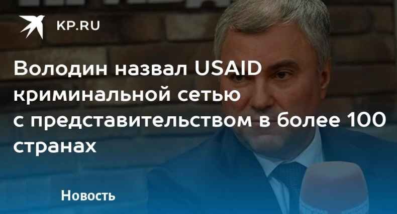 Заявление Володина