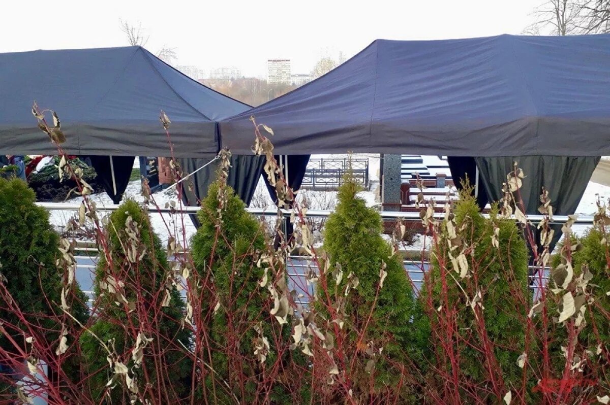    Под дулами автоматов.