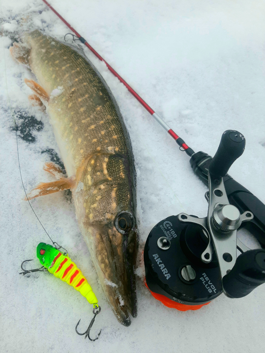 Яркие вибы отлично ловят щуку в мутной воде