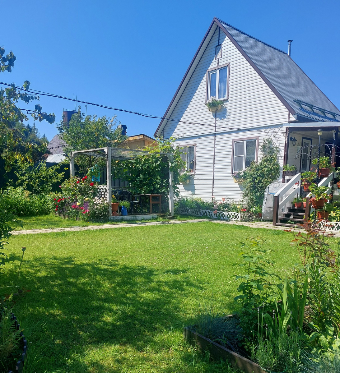 Моя мечта - домик с белым палисадником и виноградной бесдкой.