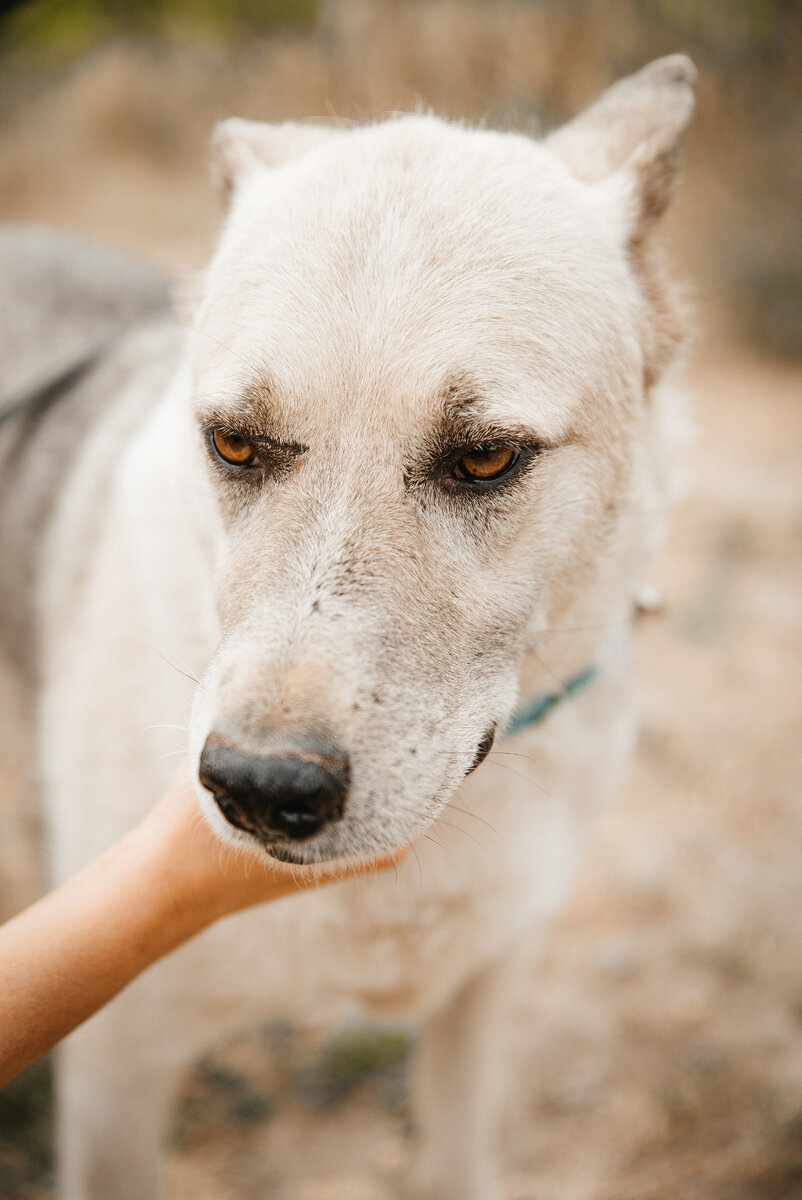 Еще говорят, что я похож на девчонку;) Уж очень нежный