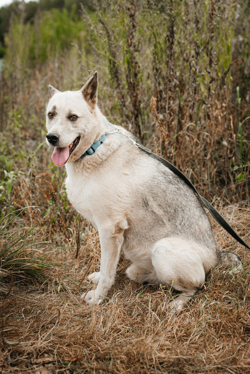 Пока в меня верят волонтеры - я буду тоже верить в себя и шанс