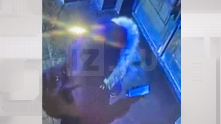    Поджигатель. 5-tv.ru