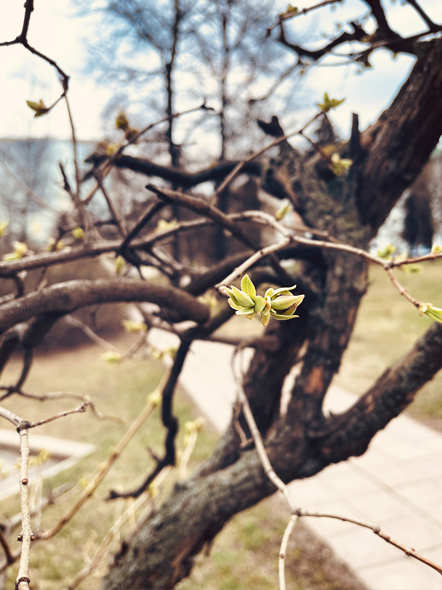 фото сделано автором