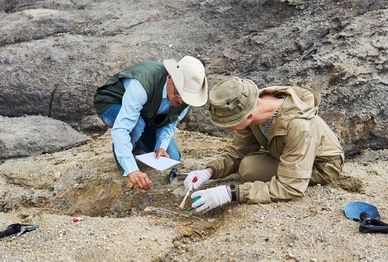    Shutterstock/FOTODOM