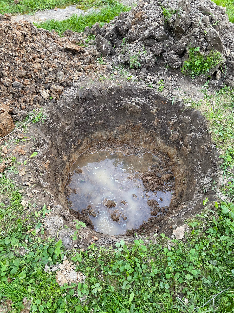 Близкие подземные воды при посадке растений