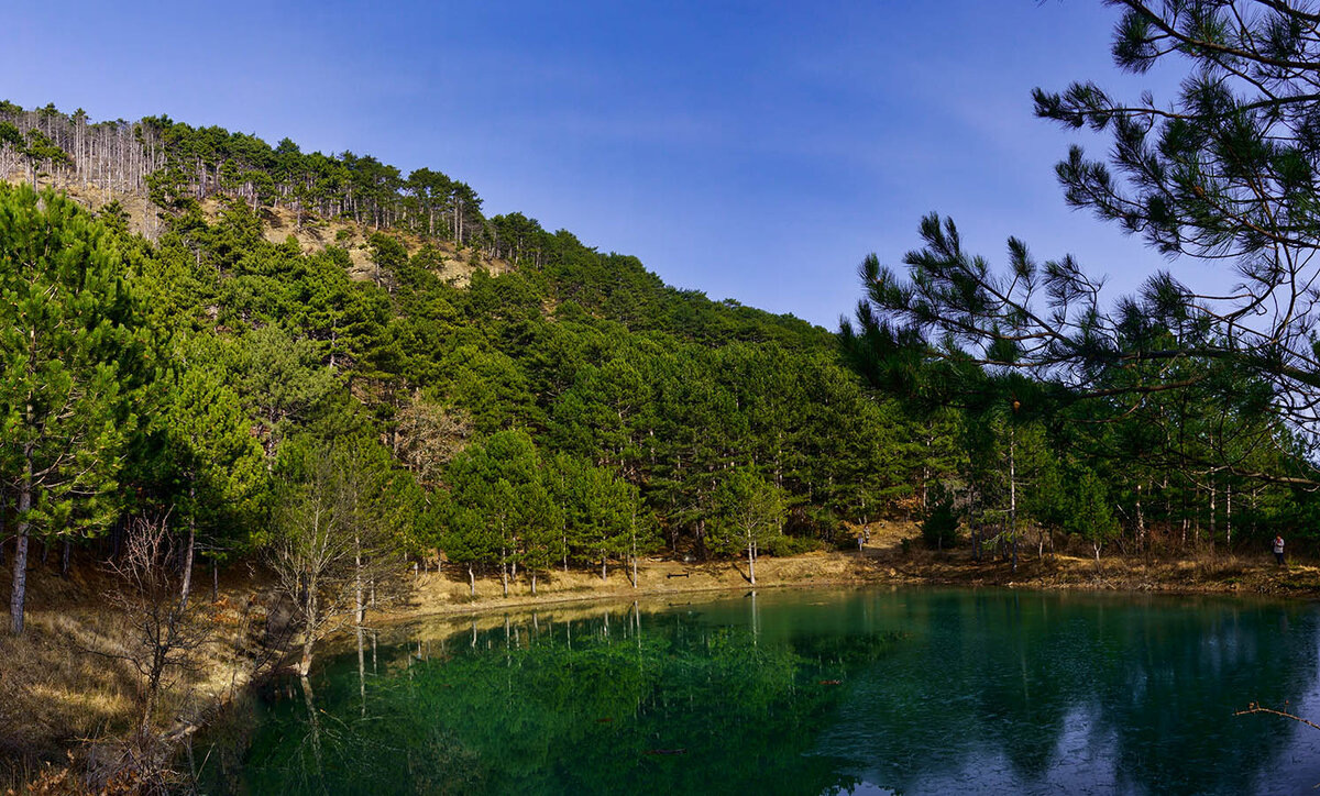 Фото с ЯКартинки