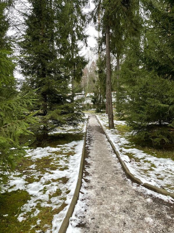 Фото: Мария Кожаева, сервис Яндекс Путешествия