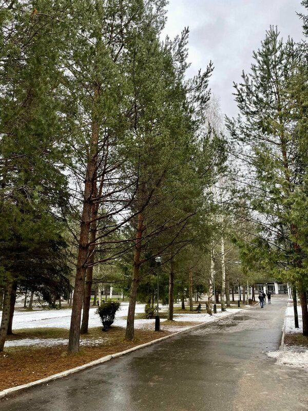 Фото: Мария Кожаева, сервис Яндекс Путешествия