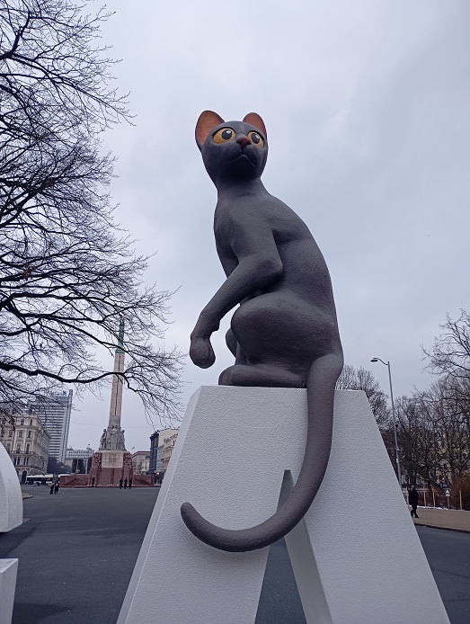 Рига, 5 февраля 2025