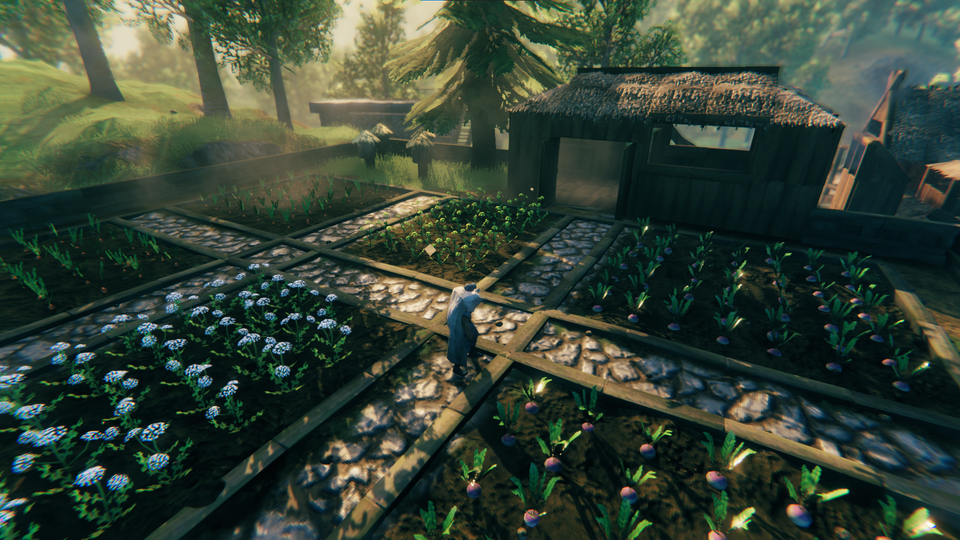 Красивый огород