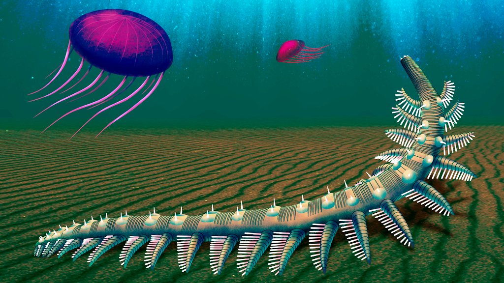 Многоклеточная жизнь процветала и в докембрии.