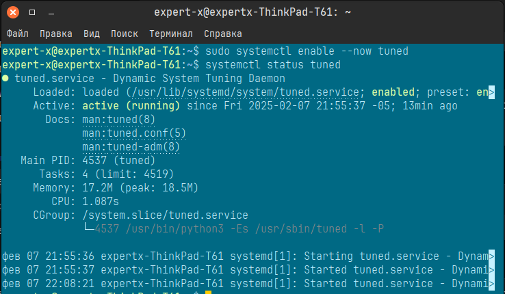 Вы должны увидеть сообщение, подтверждающее, что TuneD работает