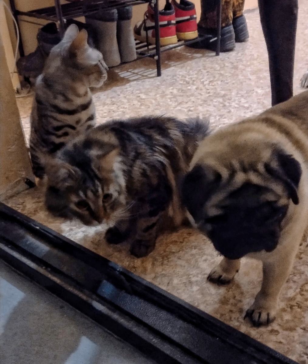 Вот примерно так. 