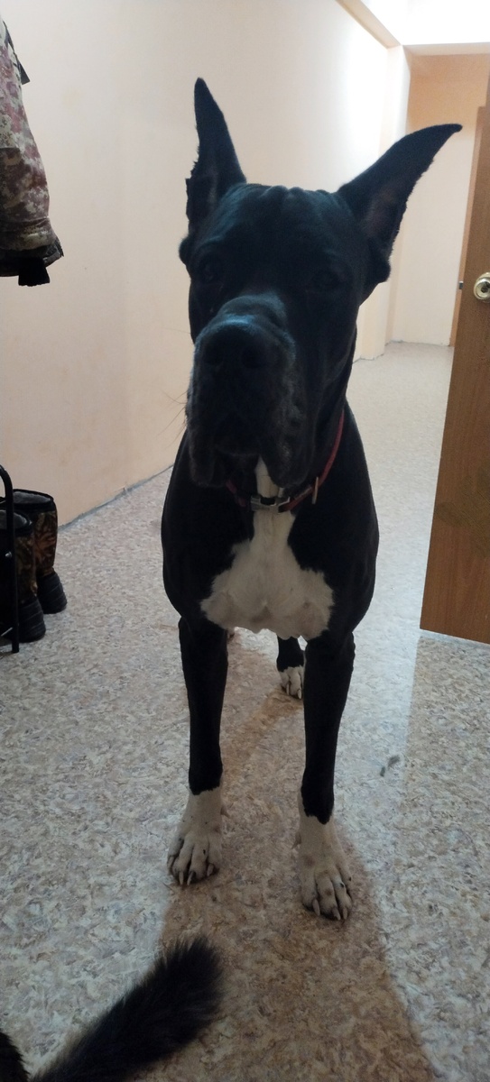 Гор спрашивает, всё ли я убрала? Можно радоваться?