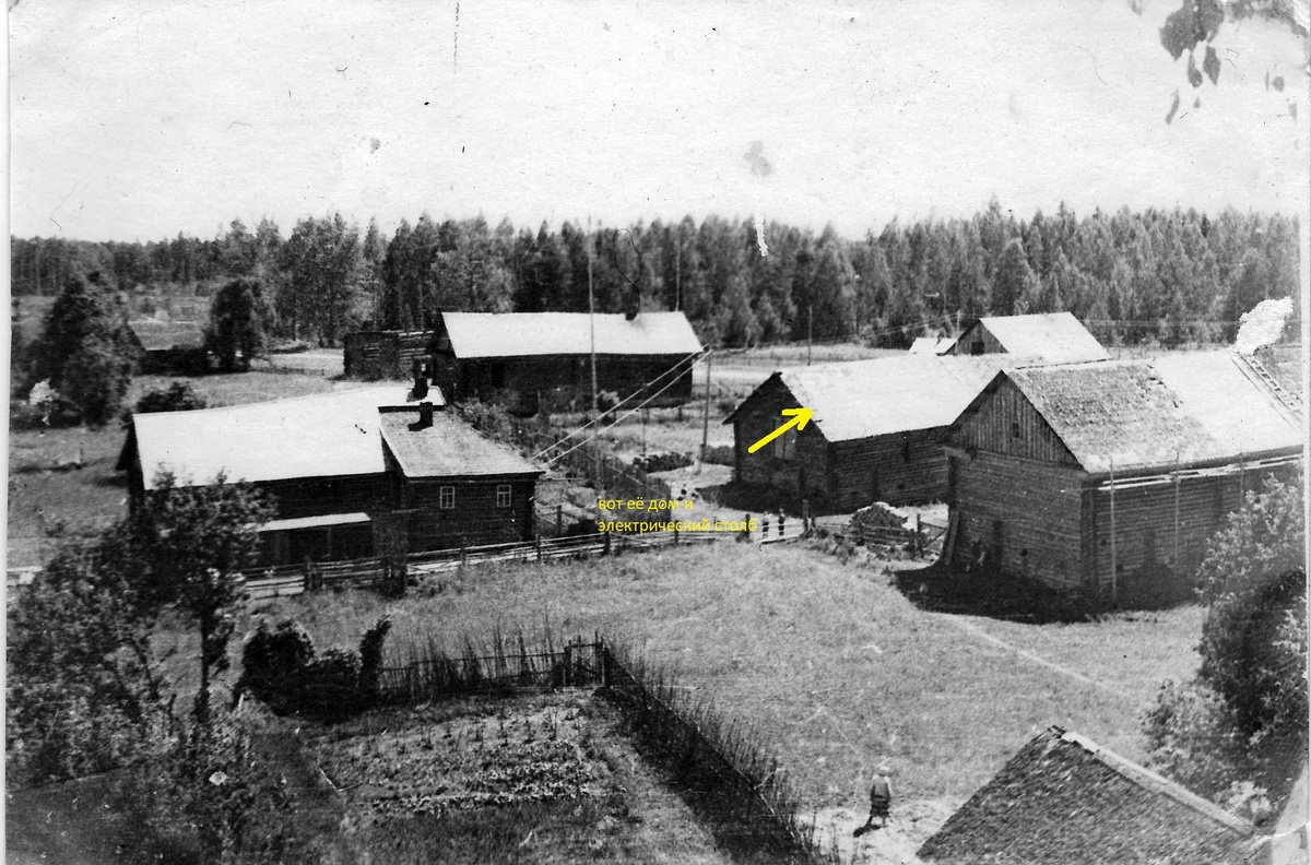 дом Бездорожевой Анны Яковлевны, в котором я родился, на переднем плане её огород