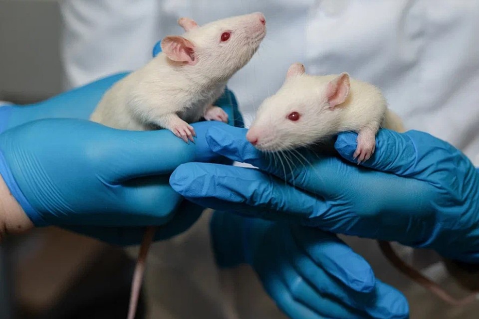    Фото: Анастасия Каплина