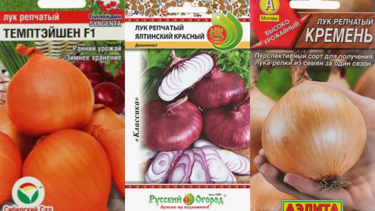 Яндекс.Картинки