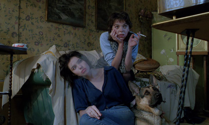 Кадр из фильма "37,2 по утрам" (1986)