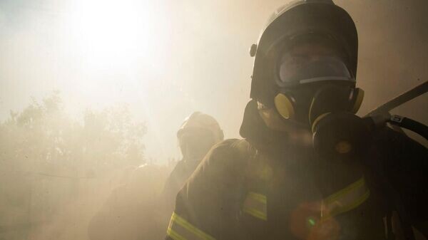    © РИА Новости Крым . Дмитрий Макеев