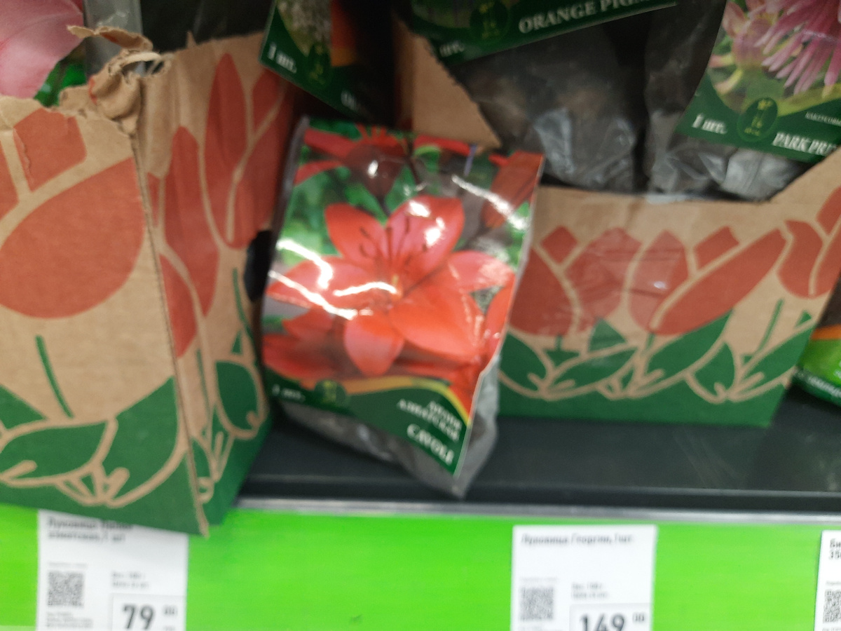 По 79 рублей