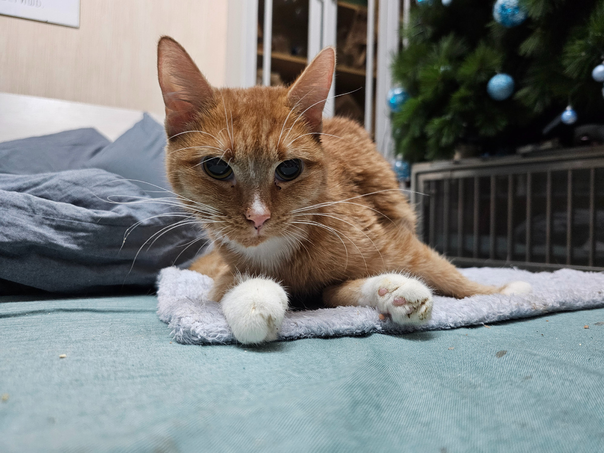 Фото автора. Яша девочка спинальница.