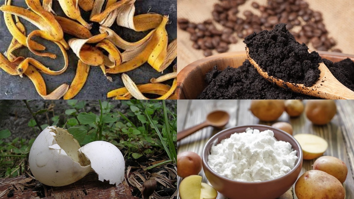 Подготовленные составляющие для одного дерева