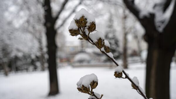    © РИА Новости Крым