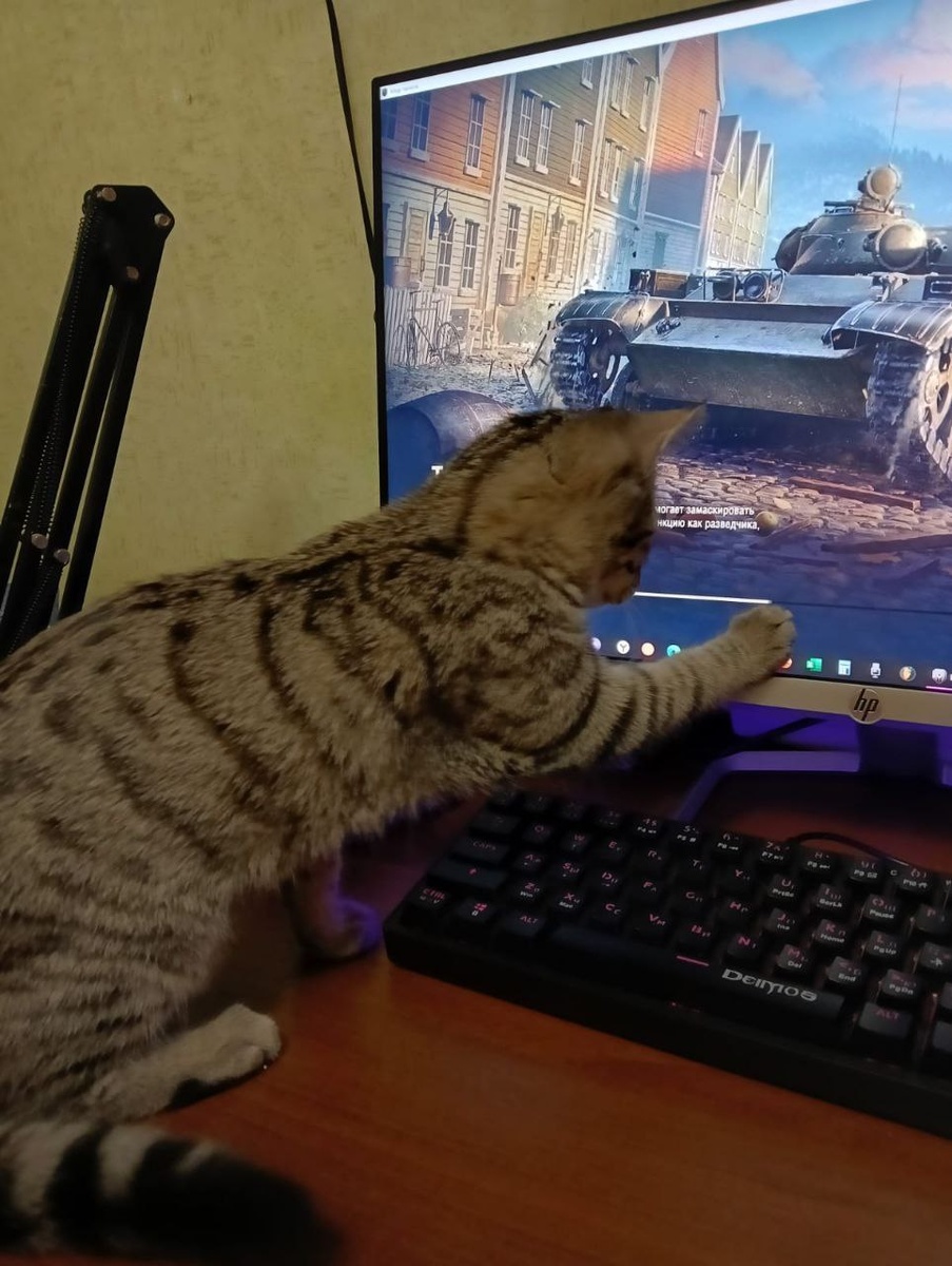 Игры - это святое!
