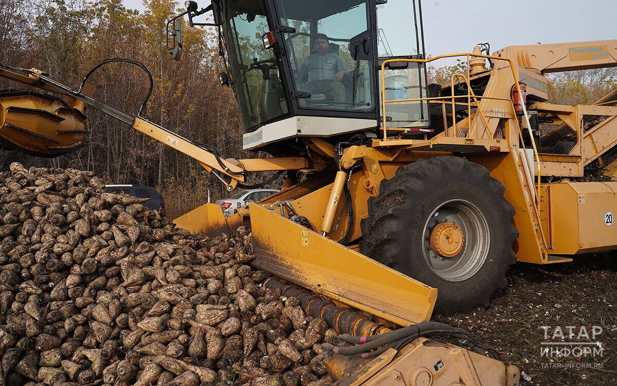 Буинский район занимает лидирующую позицию среди районов Татарстана по объему производства валовой продукции сельского хозяйстваФото: © Абдул Фархан / «Татар-информ»