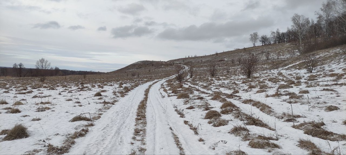 Февральские пейзажи. Фото автора