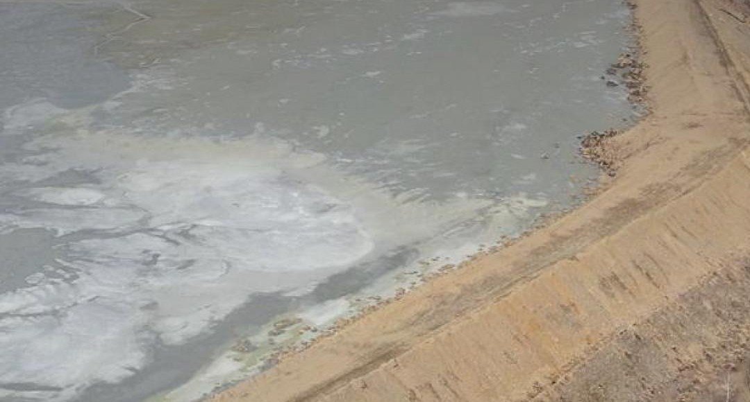    Фото: Росприроднадзор