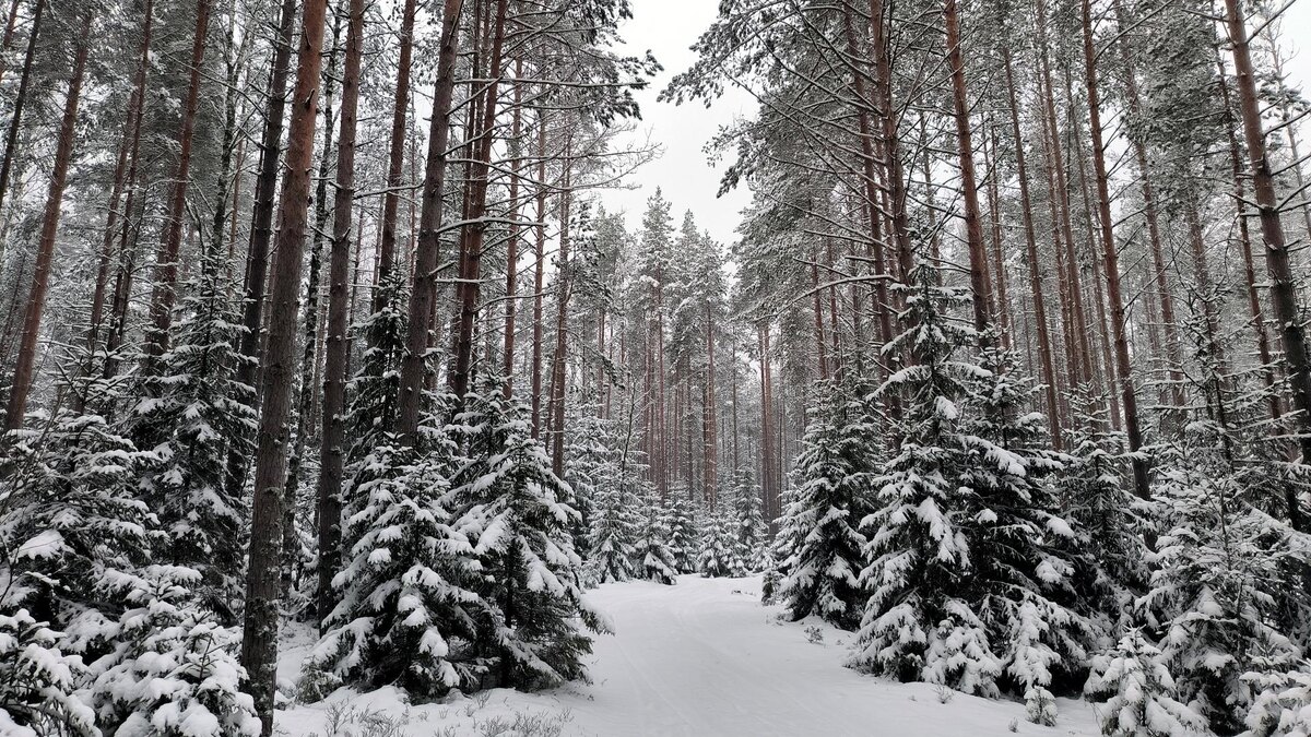    Фото: globallookpress.com/Maksim Konstantinov