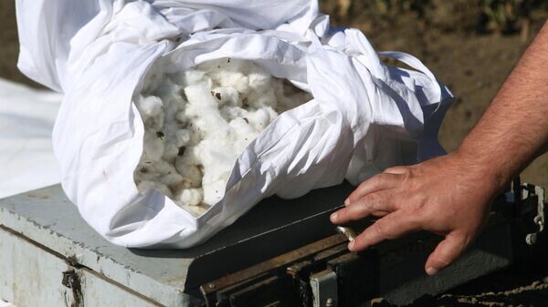    © Sputnik / Денис Абрамов