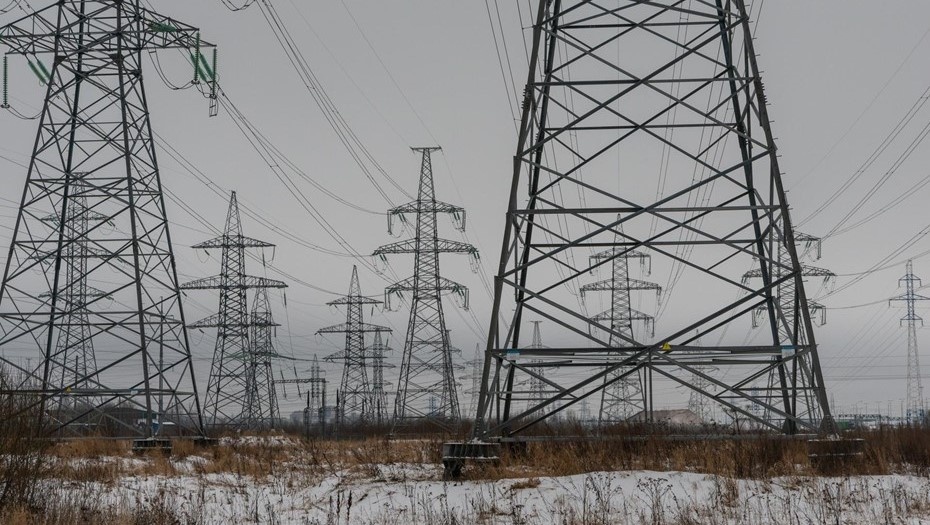    Автор фото: Тихонов Михаил