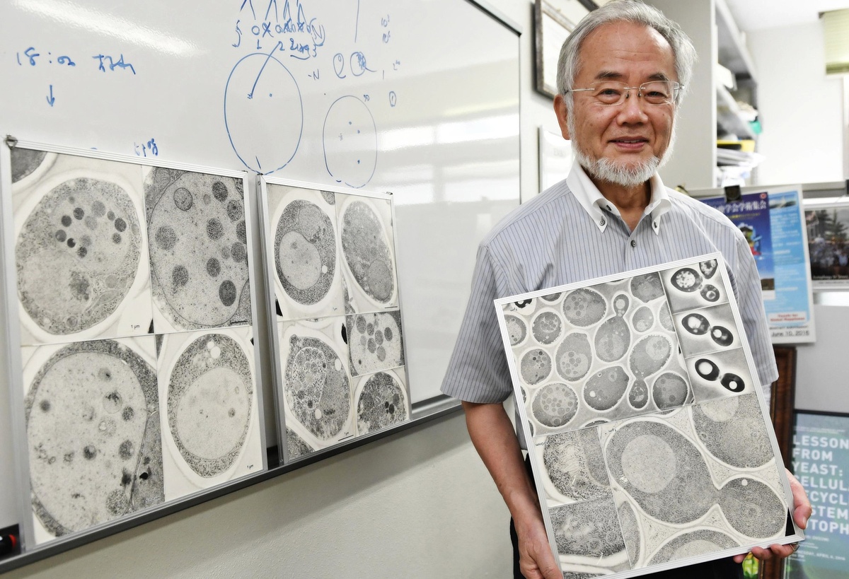 Ёсиномори Oсуми -  японский учёный-молекулярный биолог. https://yandex.ru/images/search?