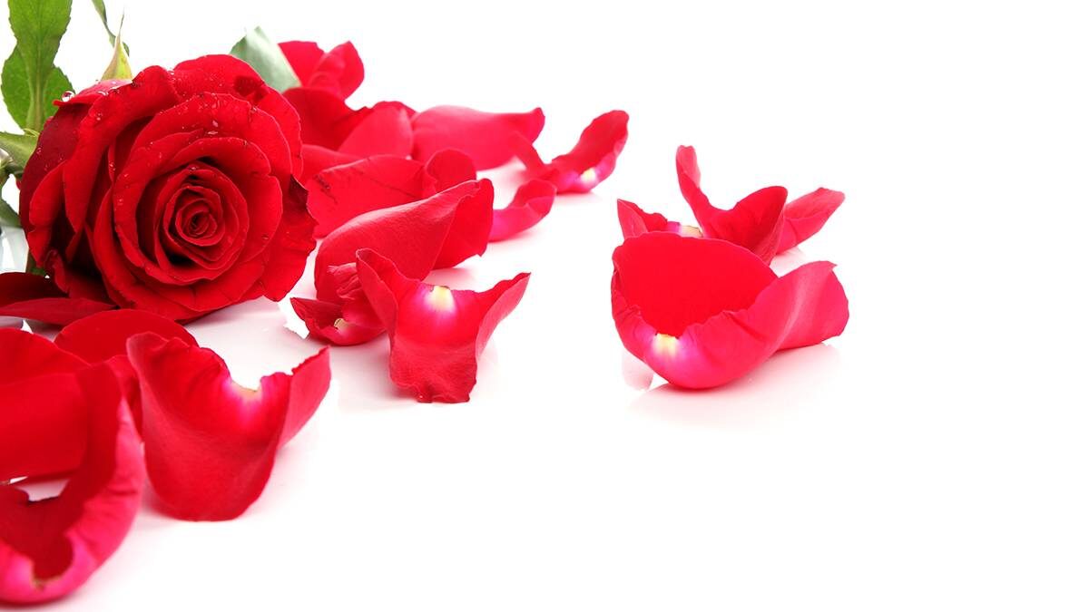    Фото: Shutterstock