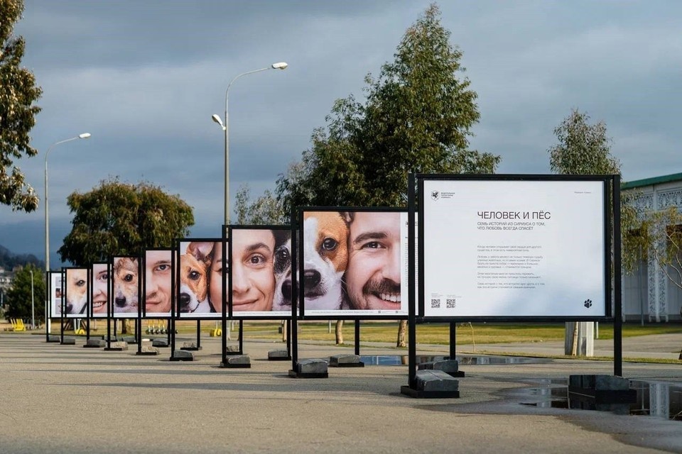    Выставка будет работать до 6 марта включительно Фото: пресс-служба ФТ «Сириус»