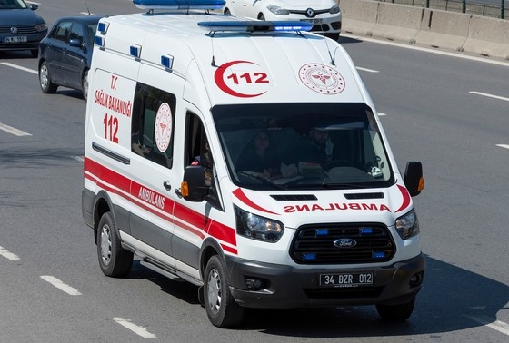    Shutterstock/FOTODOM