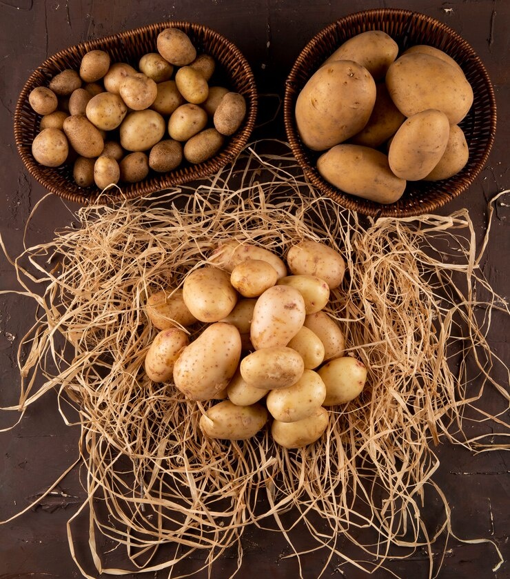 Разработано Freepik