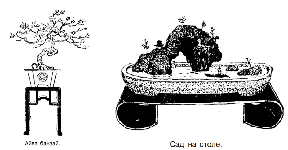 Источник: https://www.alexandra-goryashko.net/choise_book/botanic_books/verzilin_sady_i_parki.pdf