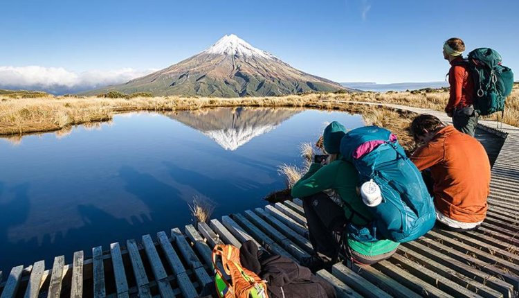 Источник новости: https://nia.eco/2025/02/04/97525/