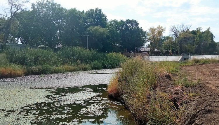 Источник новости: https://nia.eco/2025/02/07/97710/