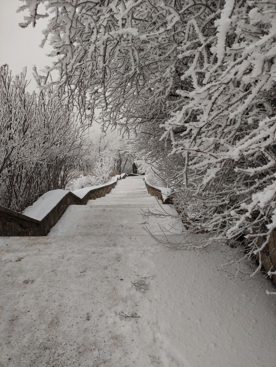Снег, морозец, ветер, но когда нас это останавливало?