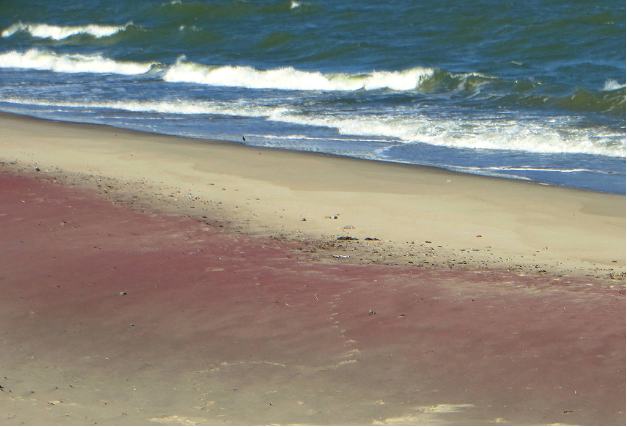 Пляжевый «цветоворот»