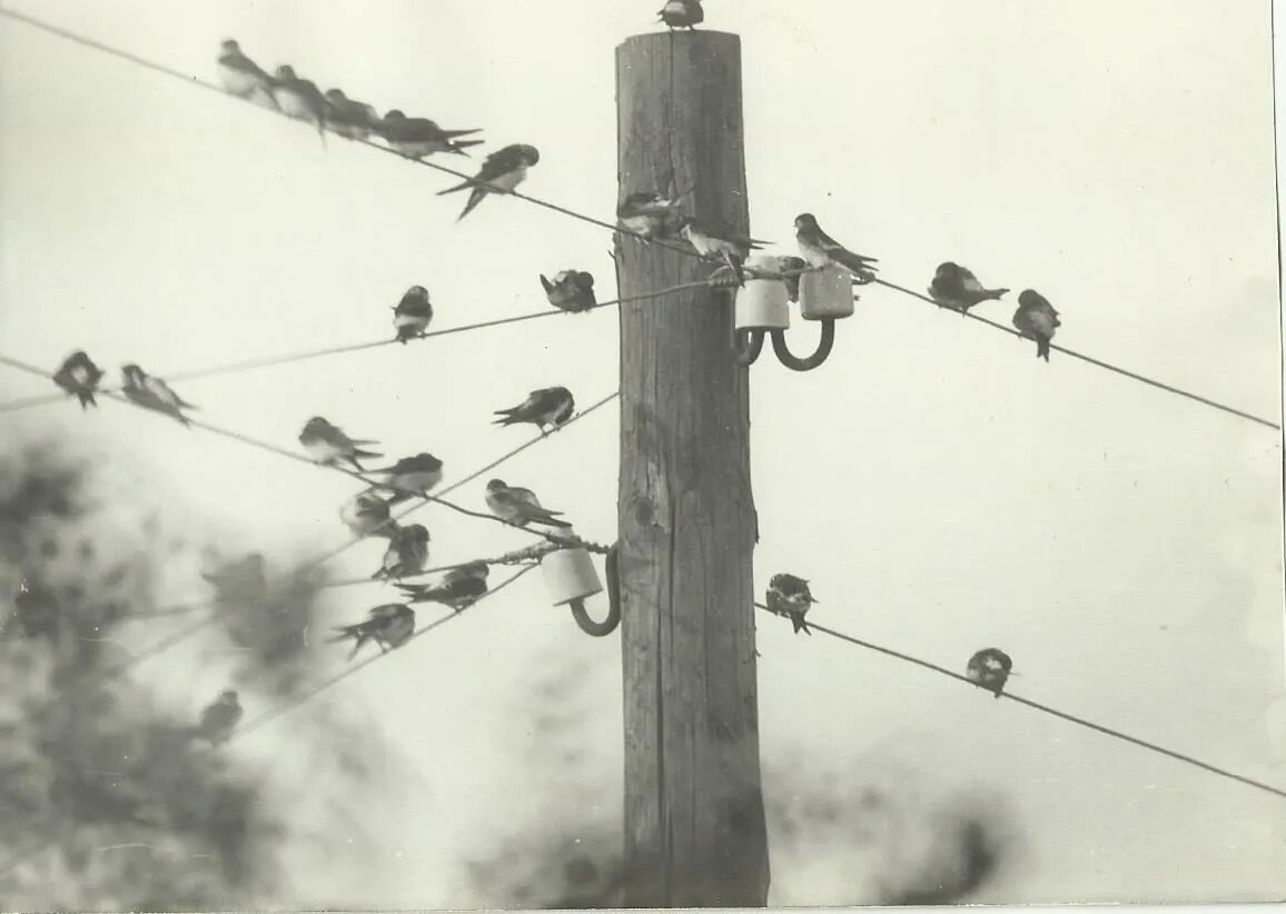 Столб освещения в деревне Голошубово