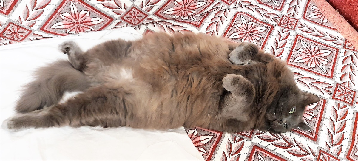 За фото благодарю Марину АБРОЧНОВУ)